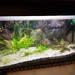 Aquarium Komplett ohne Fische - Bild 1