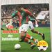 pixi Buch: Tim Borowski der Fussballprofi - Bild 1