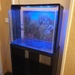 Aquarium komplett - Bild 2