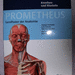 Thieme Prometheus LERN Poster Knochen Muskeln - Bild 1