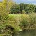 EINE WOCHE WOHNEN WIE IN KANADA, BLOCKHAUS AM WALD - Bild 47