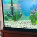 400 Liter Aquarium mit LED Beleuchtung - Bild 5