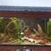 400 Liter JUWEL-Aquarium RIO Unterschrank LED - Bild 1