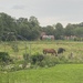 Landhaus mit Weitblick nahe Osterholz-Scharmbeck - Bild 1