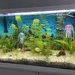 Aquarium komplett zu verkaufen  - Bild 2