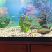 400 Liter Aquarium mit LED Beleuchtung - Bild 3