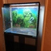 Aquarium komplett - Bild 4