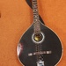 Irish Bouzouki  - Bild 3