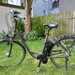 - E- bike von Raleigh - Bild 1