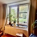  Traumhafte Souterrain-Wohnung mit eigenem Garten  - Bild 10