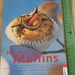 Herzhafte Muffins, viele neue Rezeptideen - Bild 1