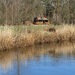 EINE WOCHE WOHNEN WIE IN KANADA, BLOCKHAUS AM WALD - Bild 48