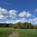 EINE WOCHE WOHNEN WIE IN KANADA, BLOCKHAUS AM WALD - Bild 57