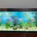 400 Liter Aquarium mit LED Beleuchtung - Bild 2