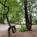 EINE WOCHE WOHNEN WIE IN KANADA, BLOCKHAUS AM WALD - Bild 58