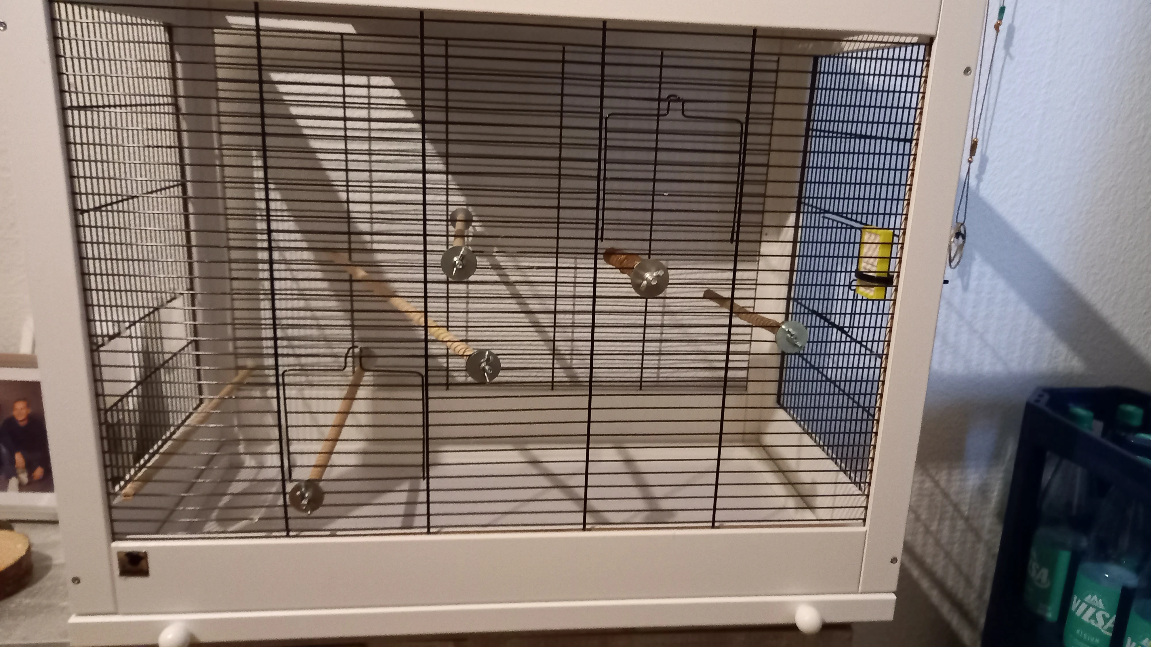 Mit oder ohne sitzstangen