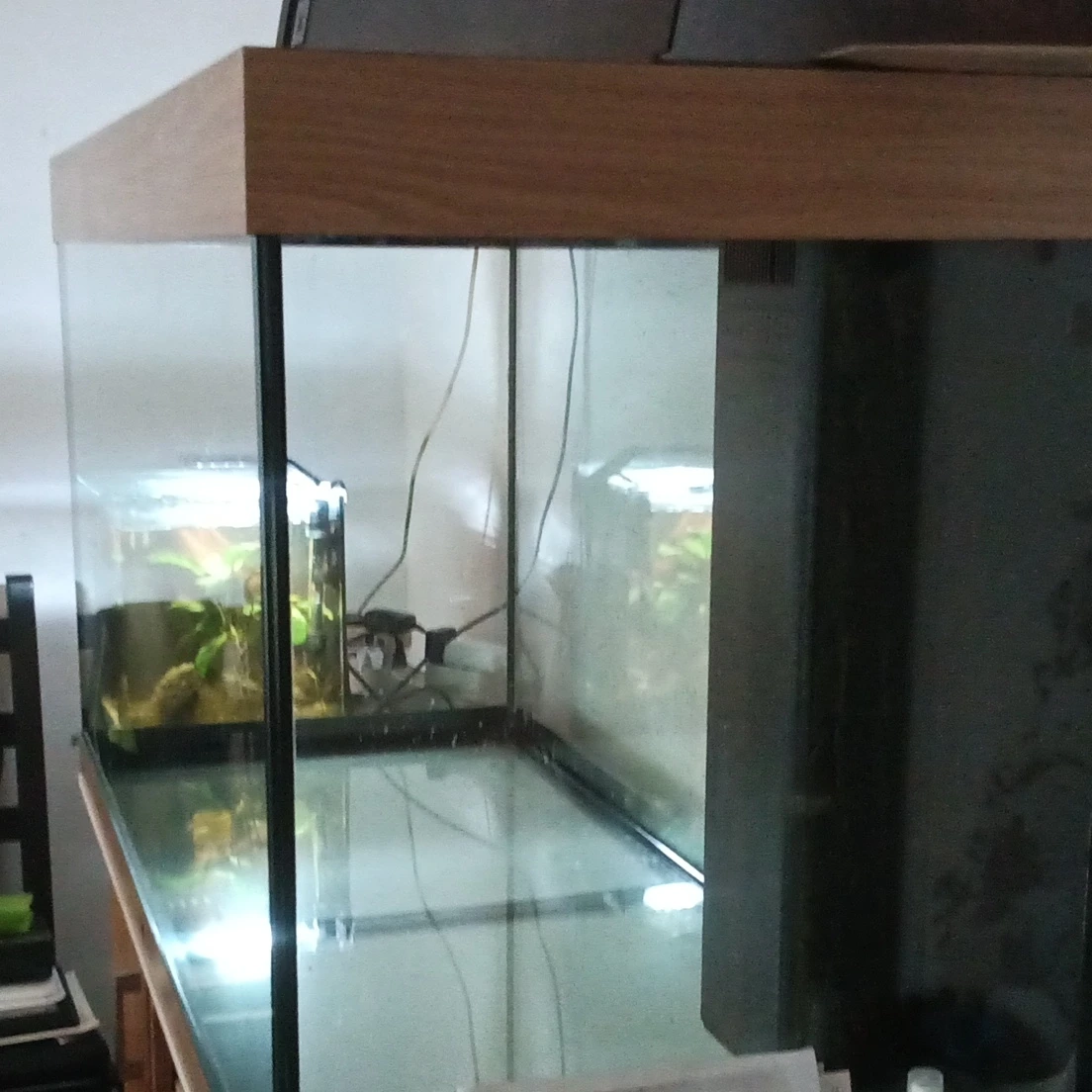 Aquarium mit Filter, Heizung , und diversen Zubehör. Ohne Unterschrank. 