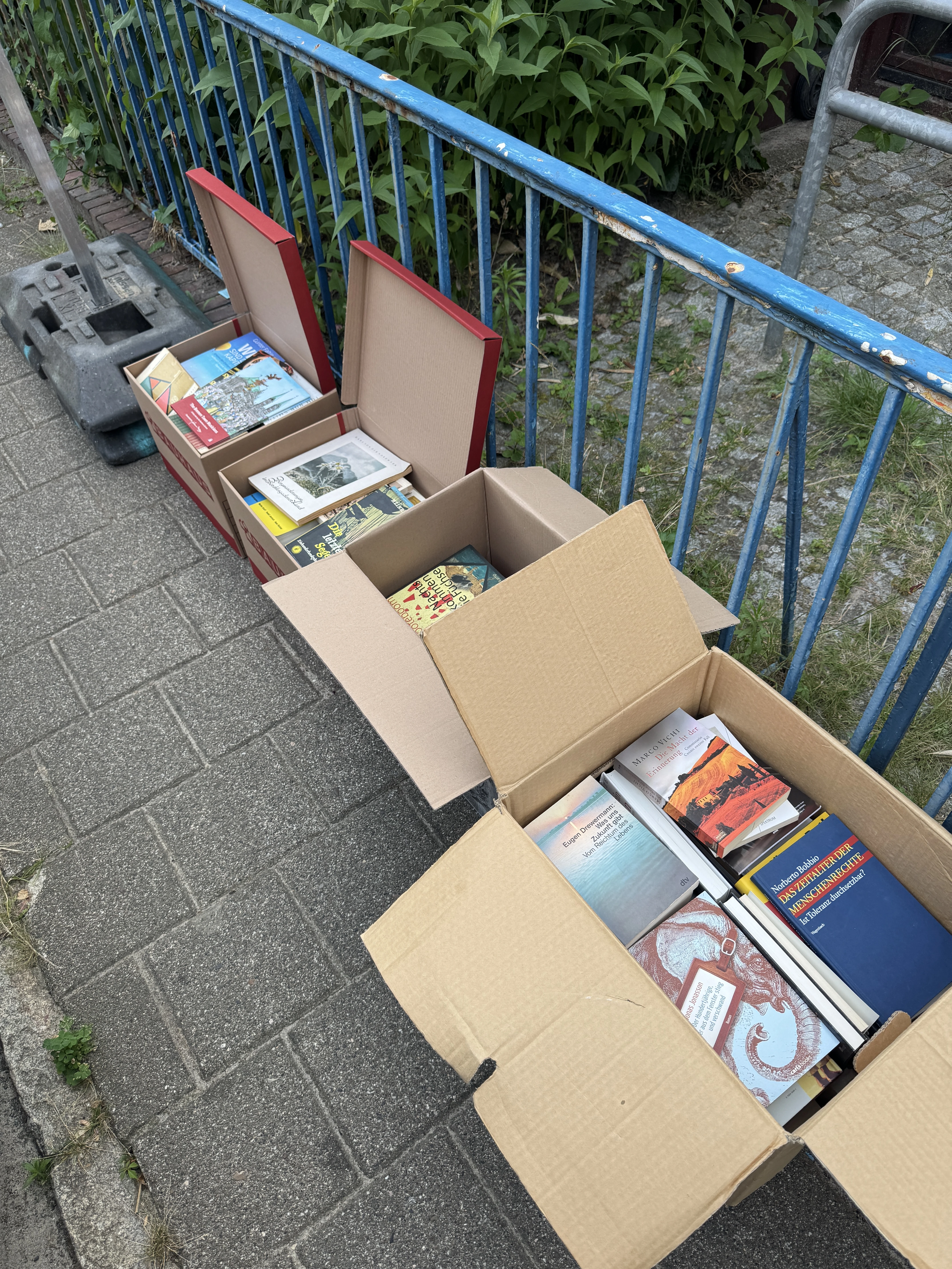 Nur die Bücher. Ohne Kartons. 