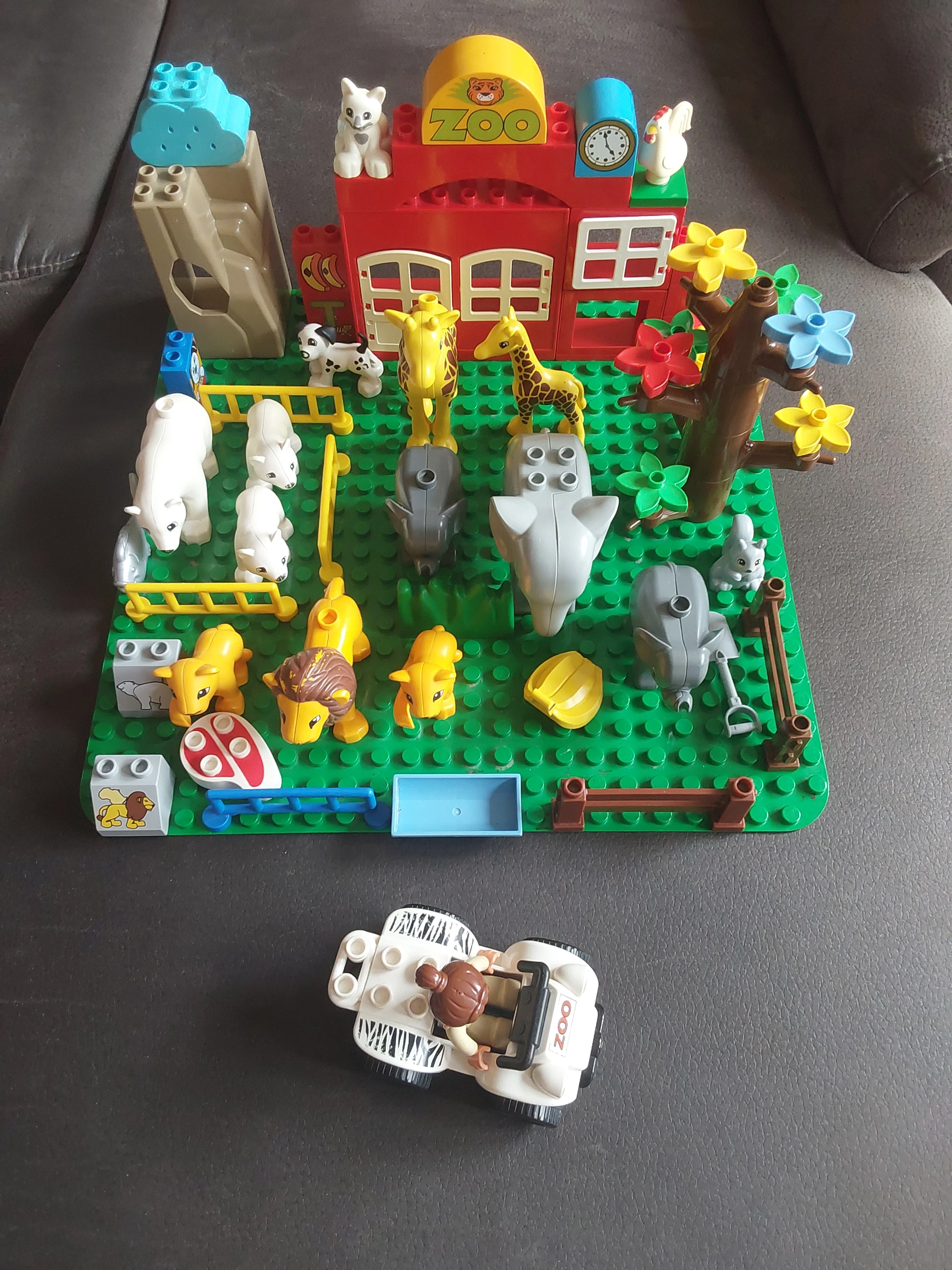 Zoo