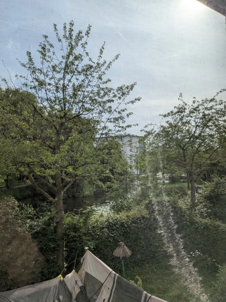 Gartenausblick 2