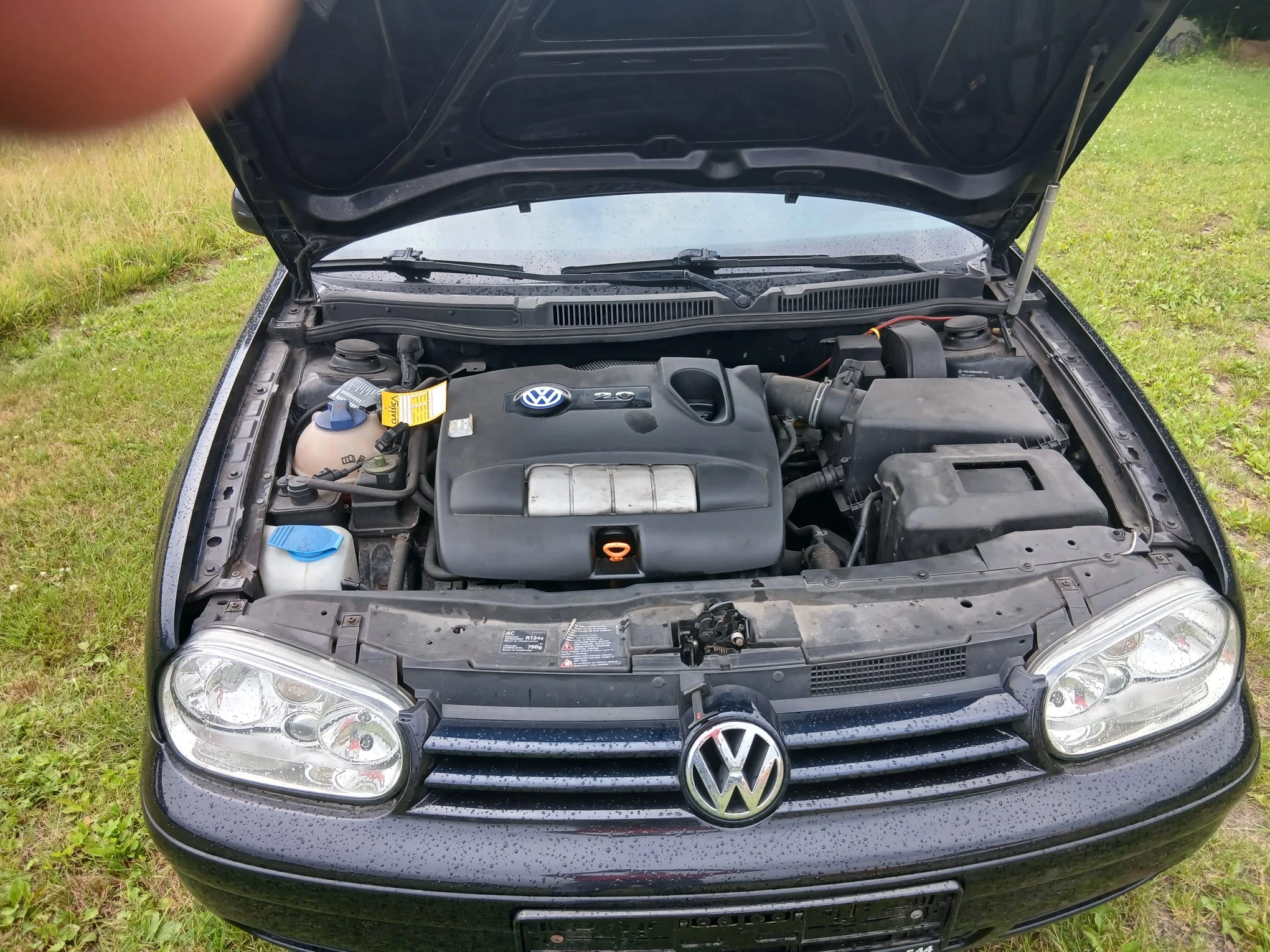 Auto
