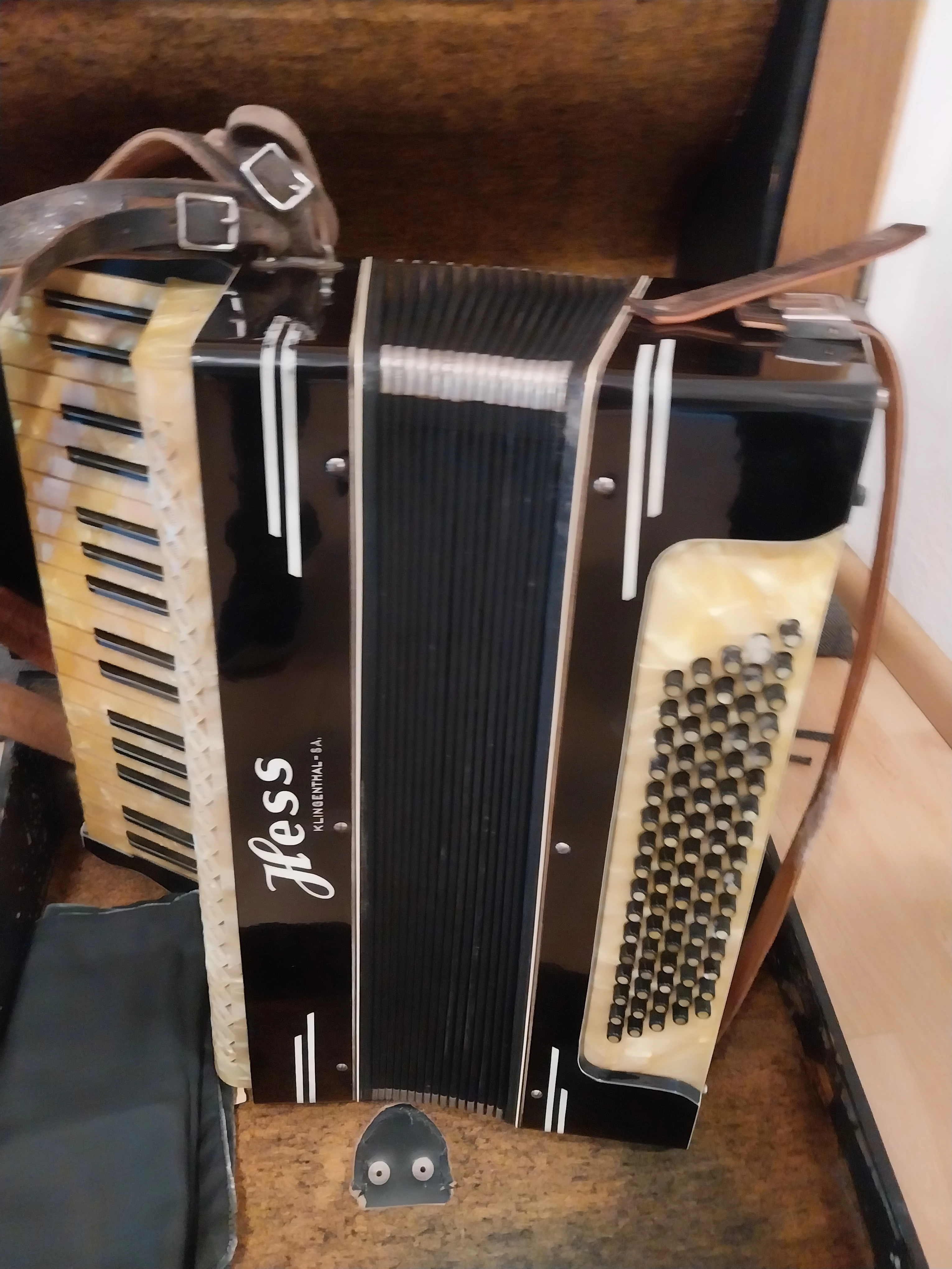 Hess Klingenthal SA 80 Bass