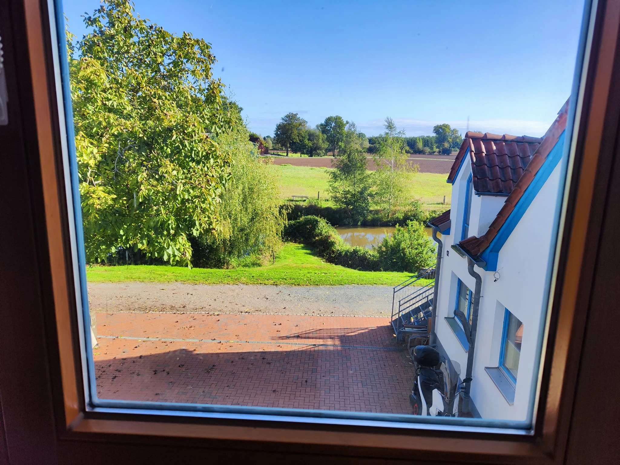 Ausblick