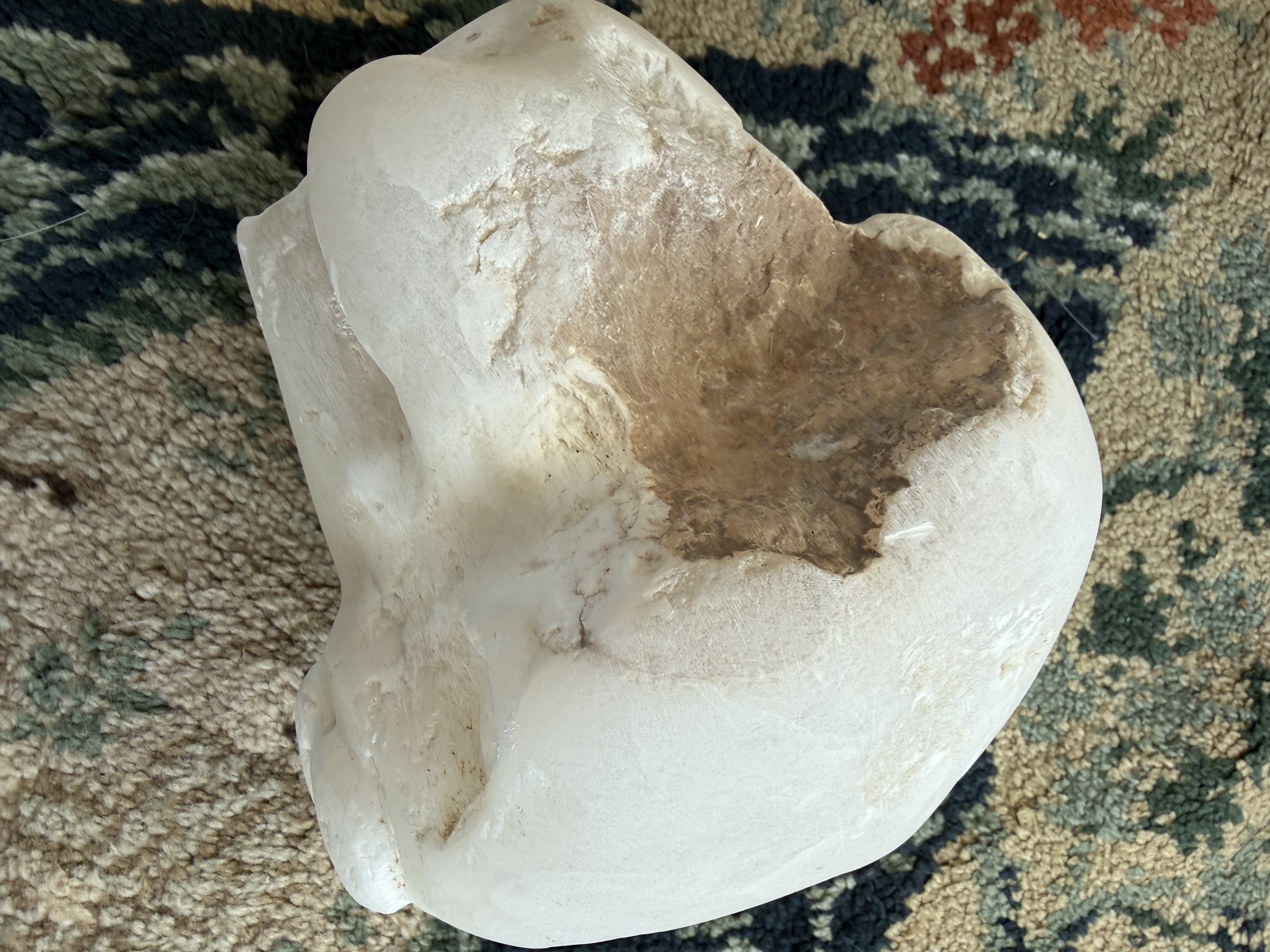 Ca. 10kg 25,00€