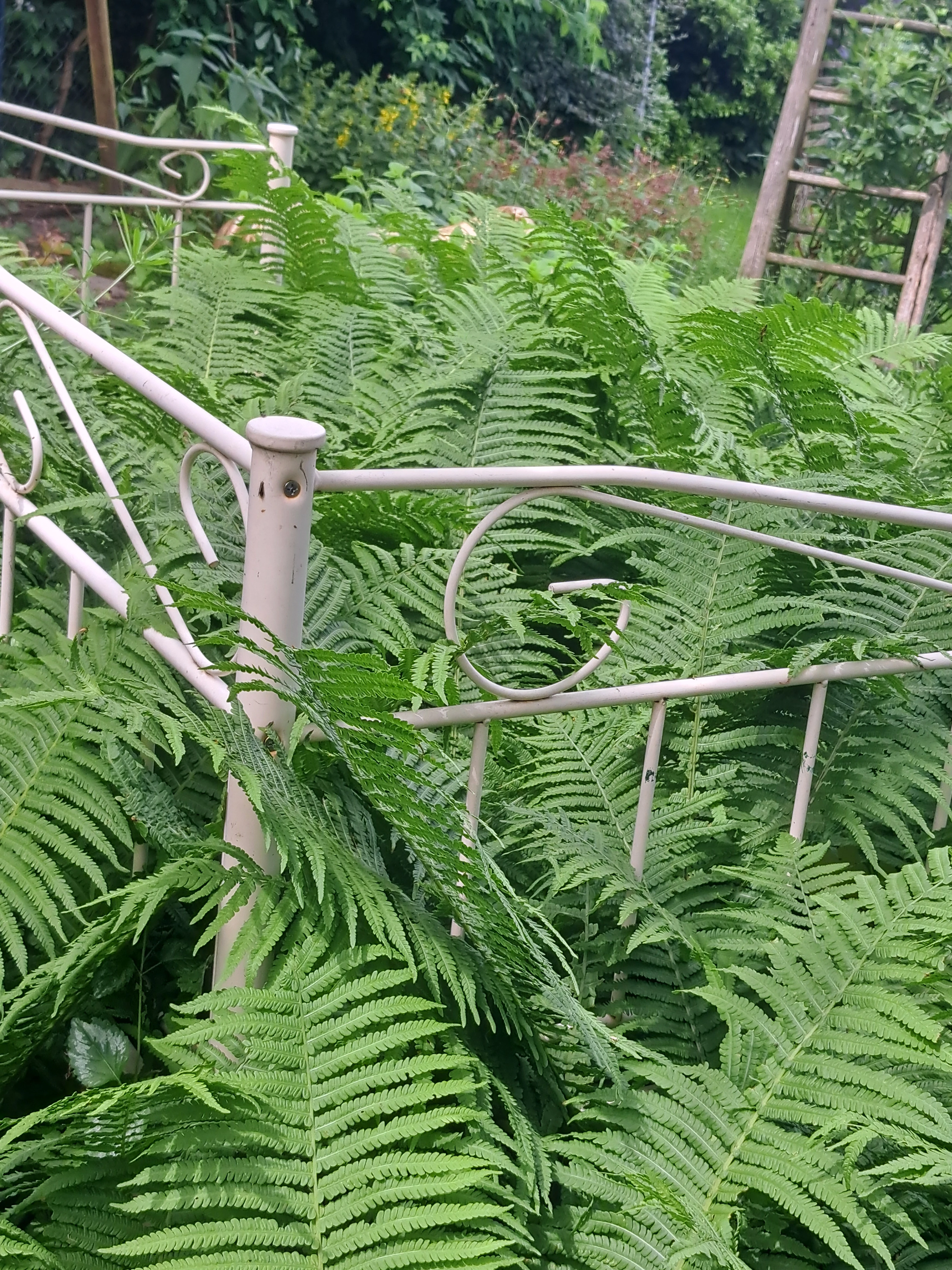 Gartenidylle
