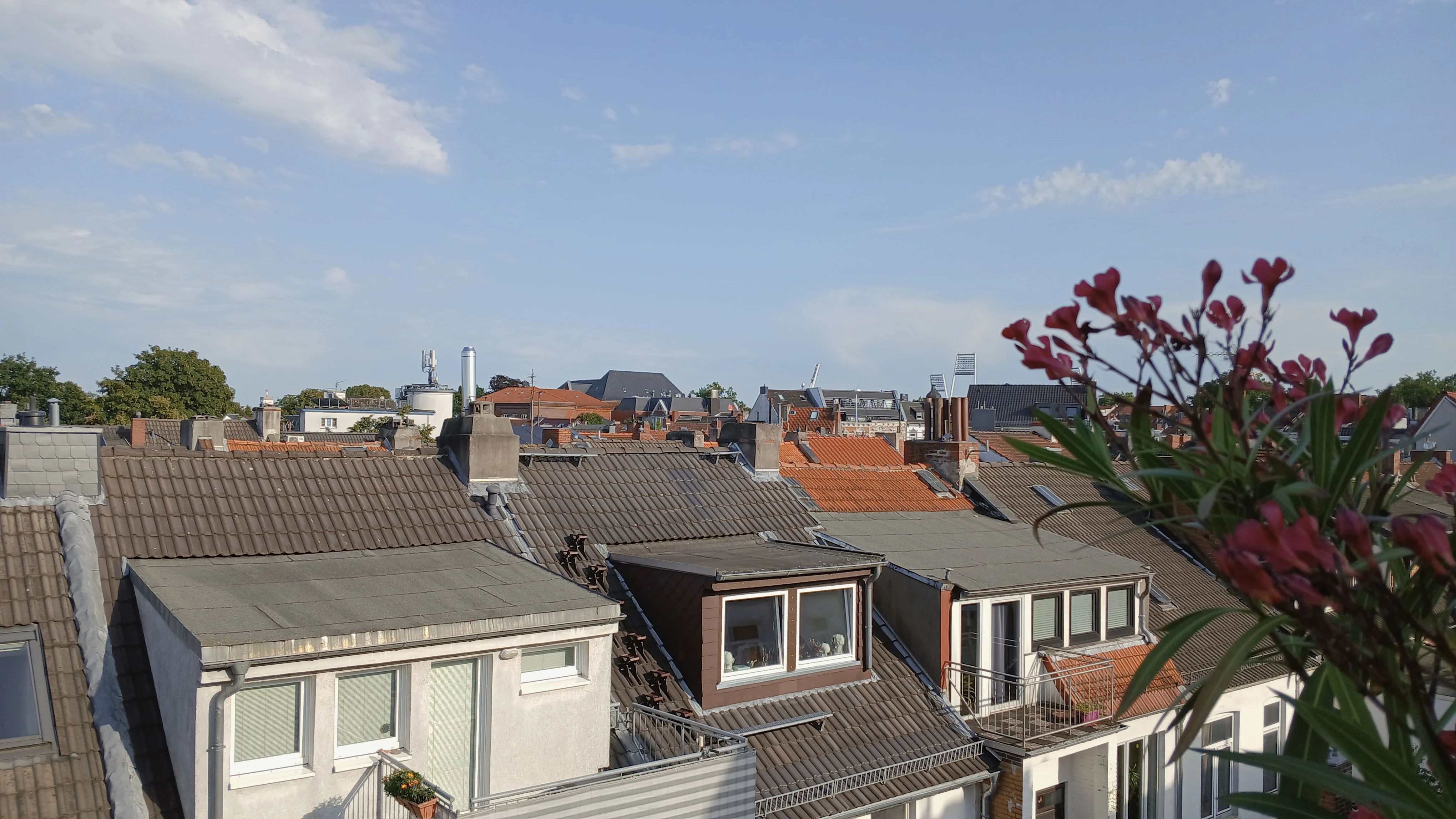 Ausblick mit Weitblick