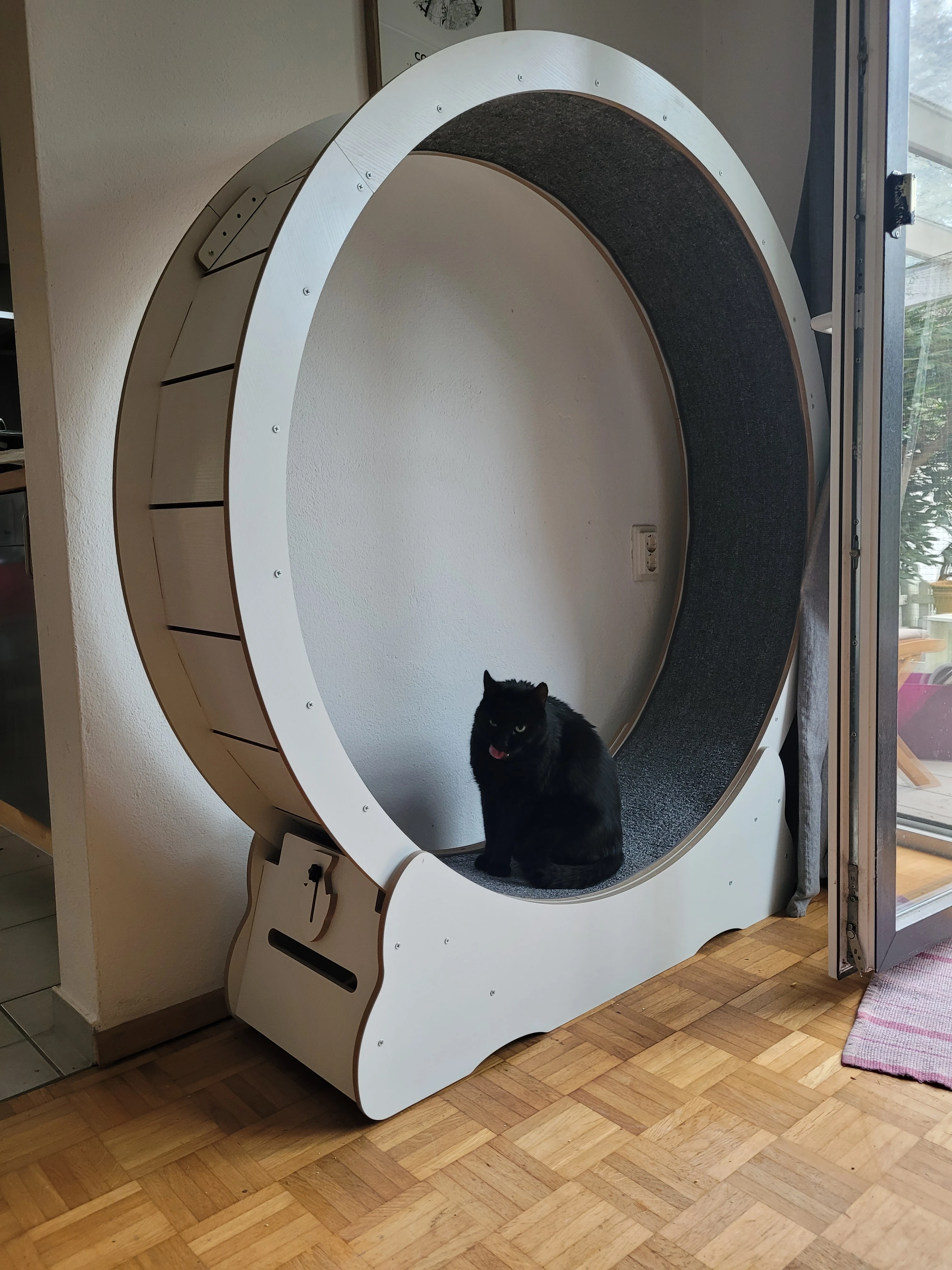 Katzenlaufrad