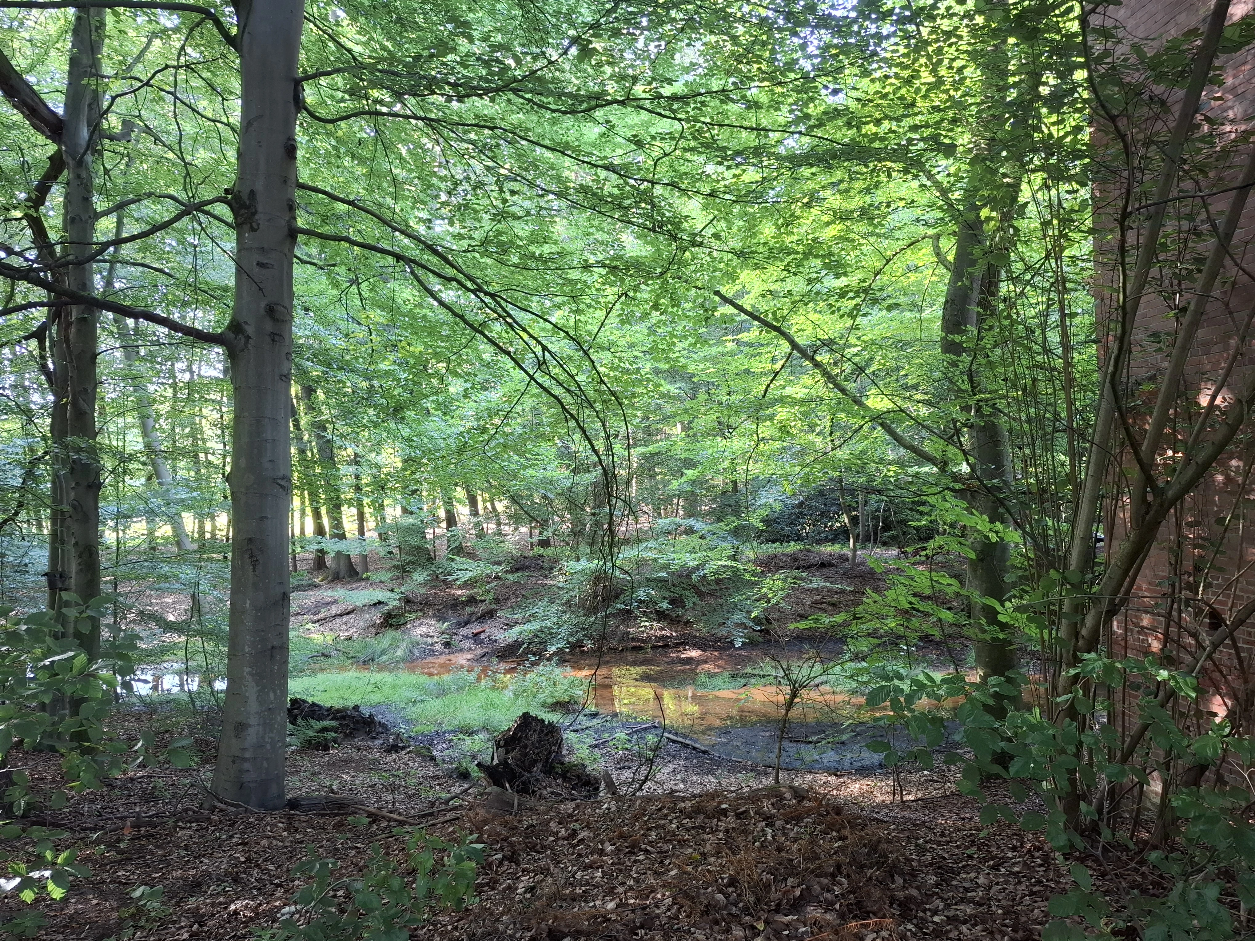 Ich liebe die NATUR.