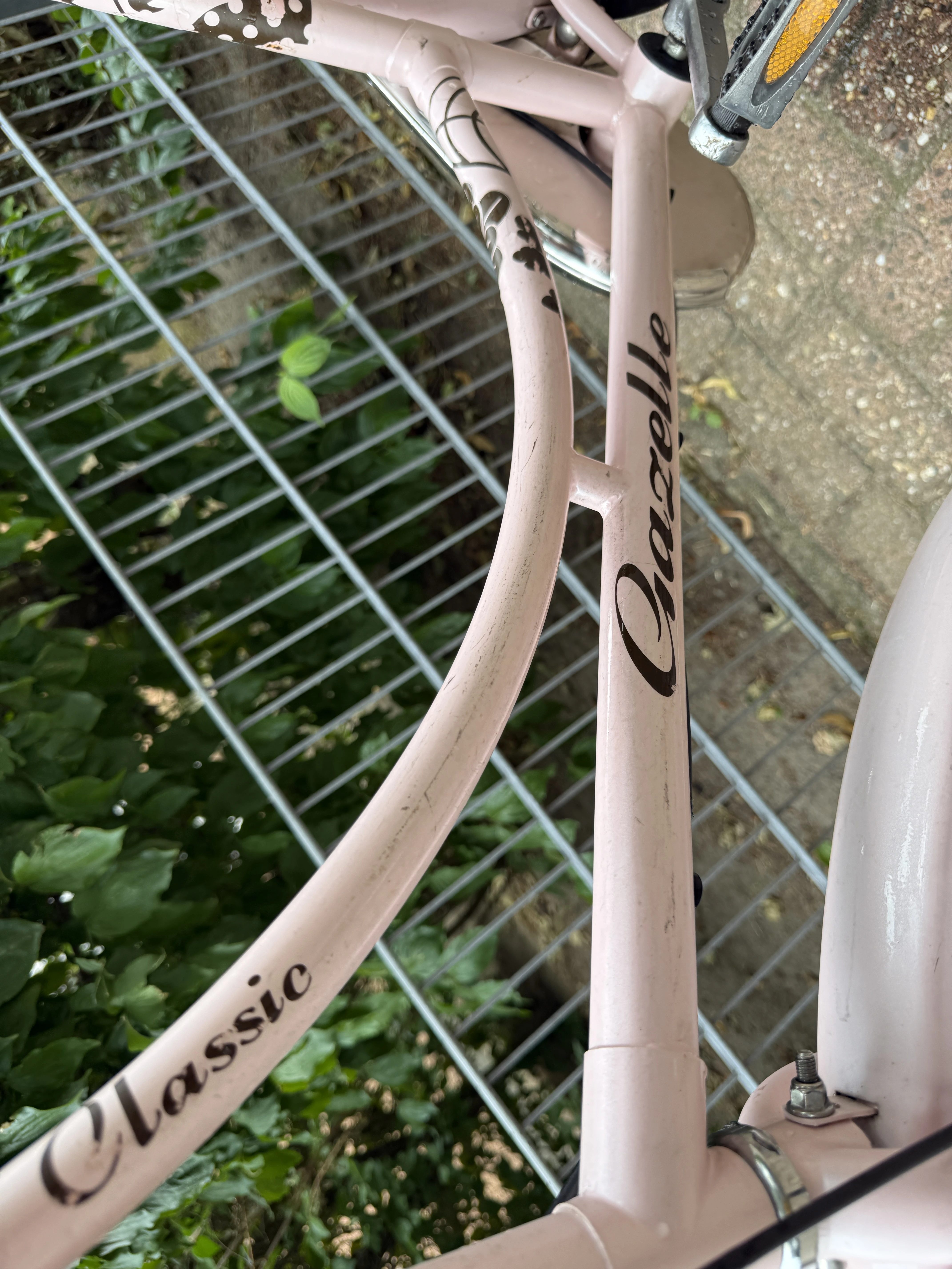 Gazelle