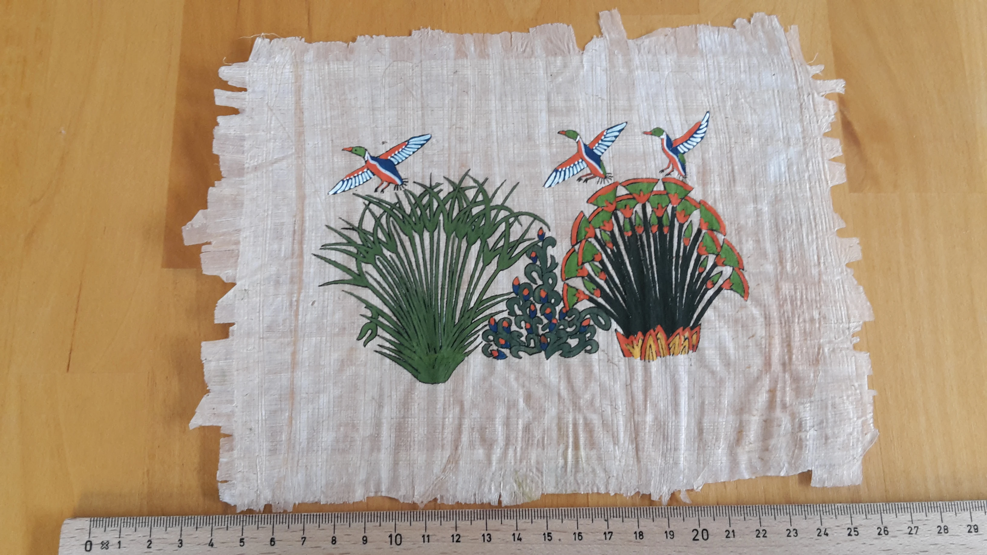 Papyrus Enten