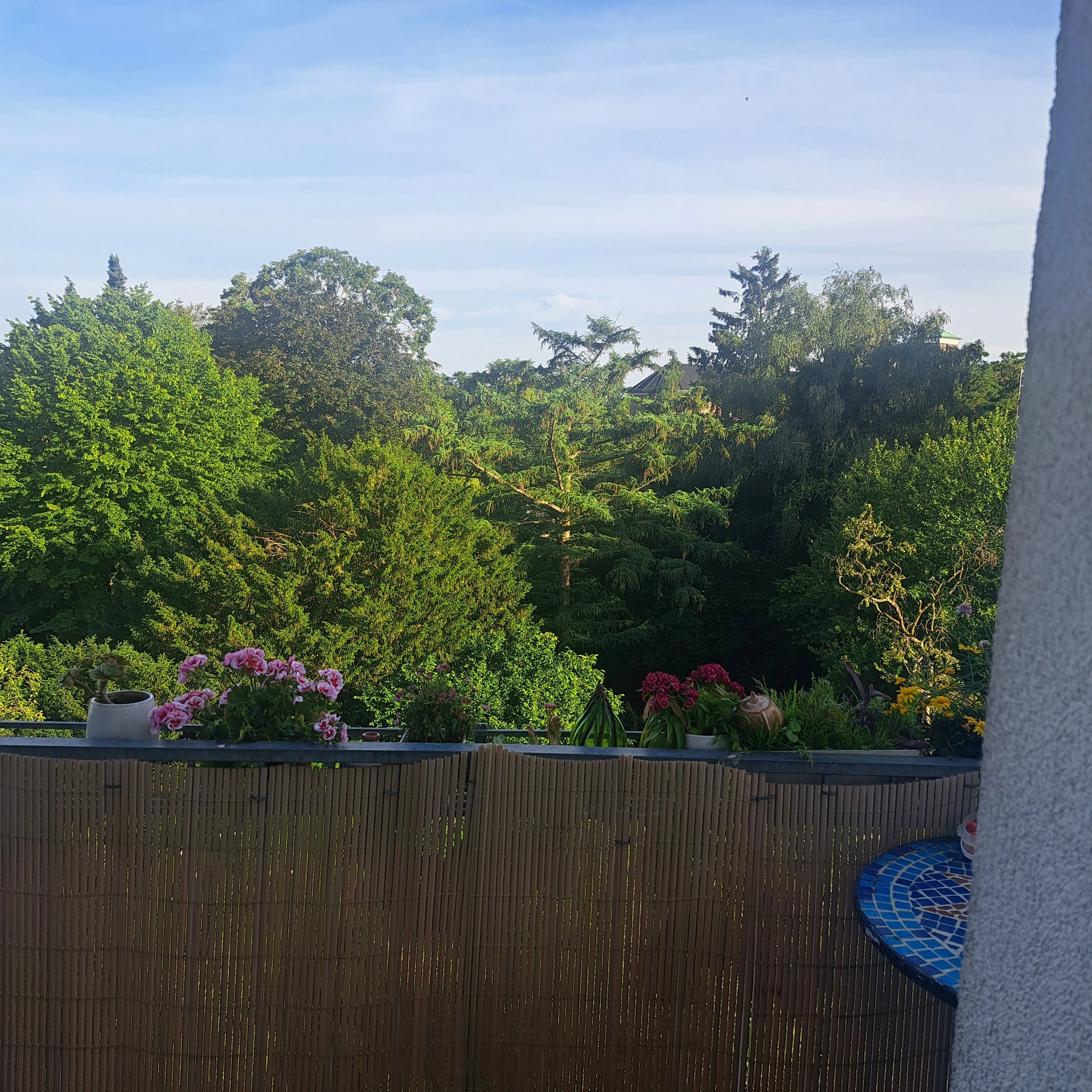 Balkon ins Grüne