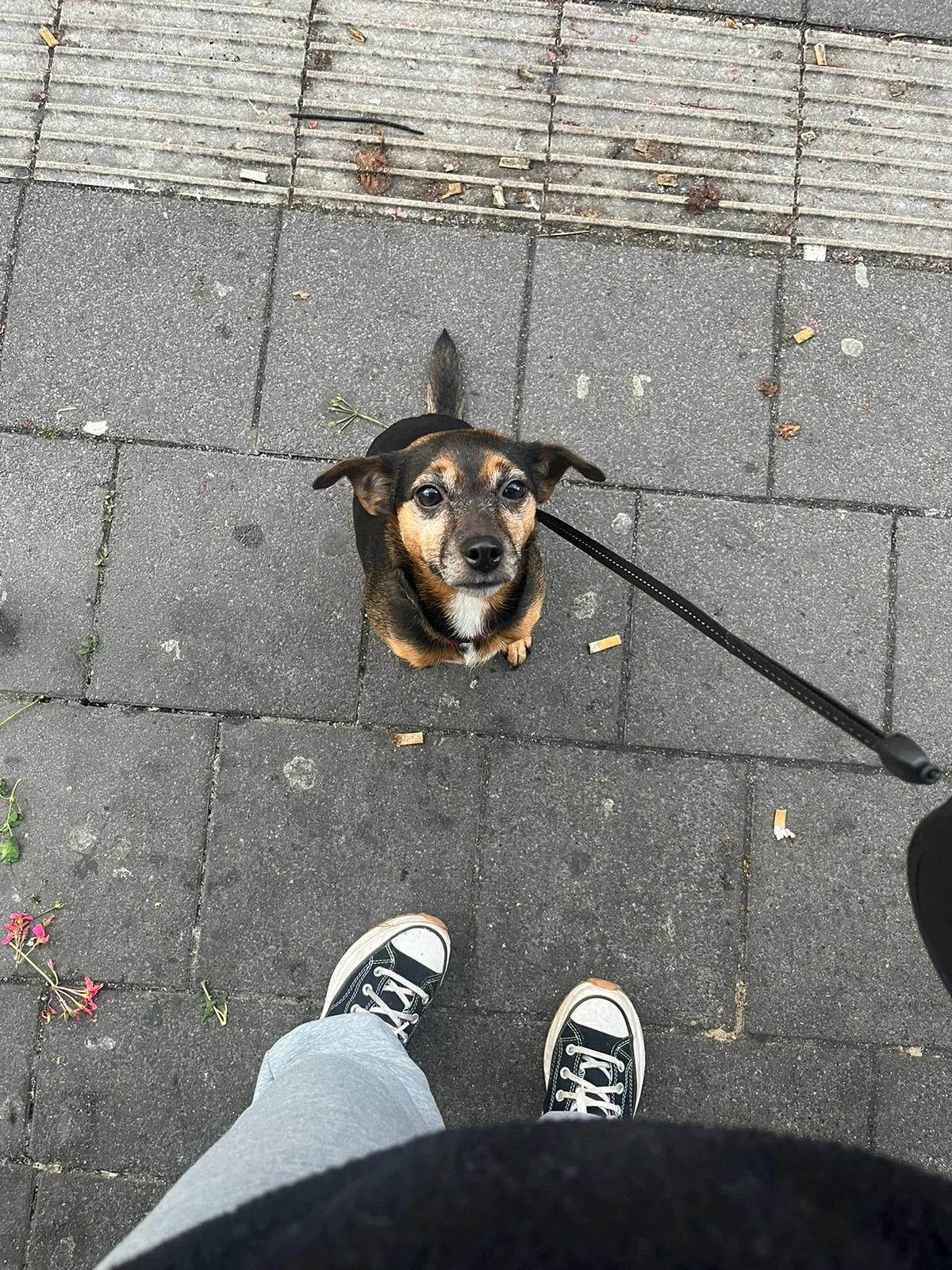 Wir