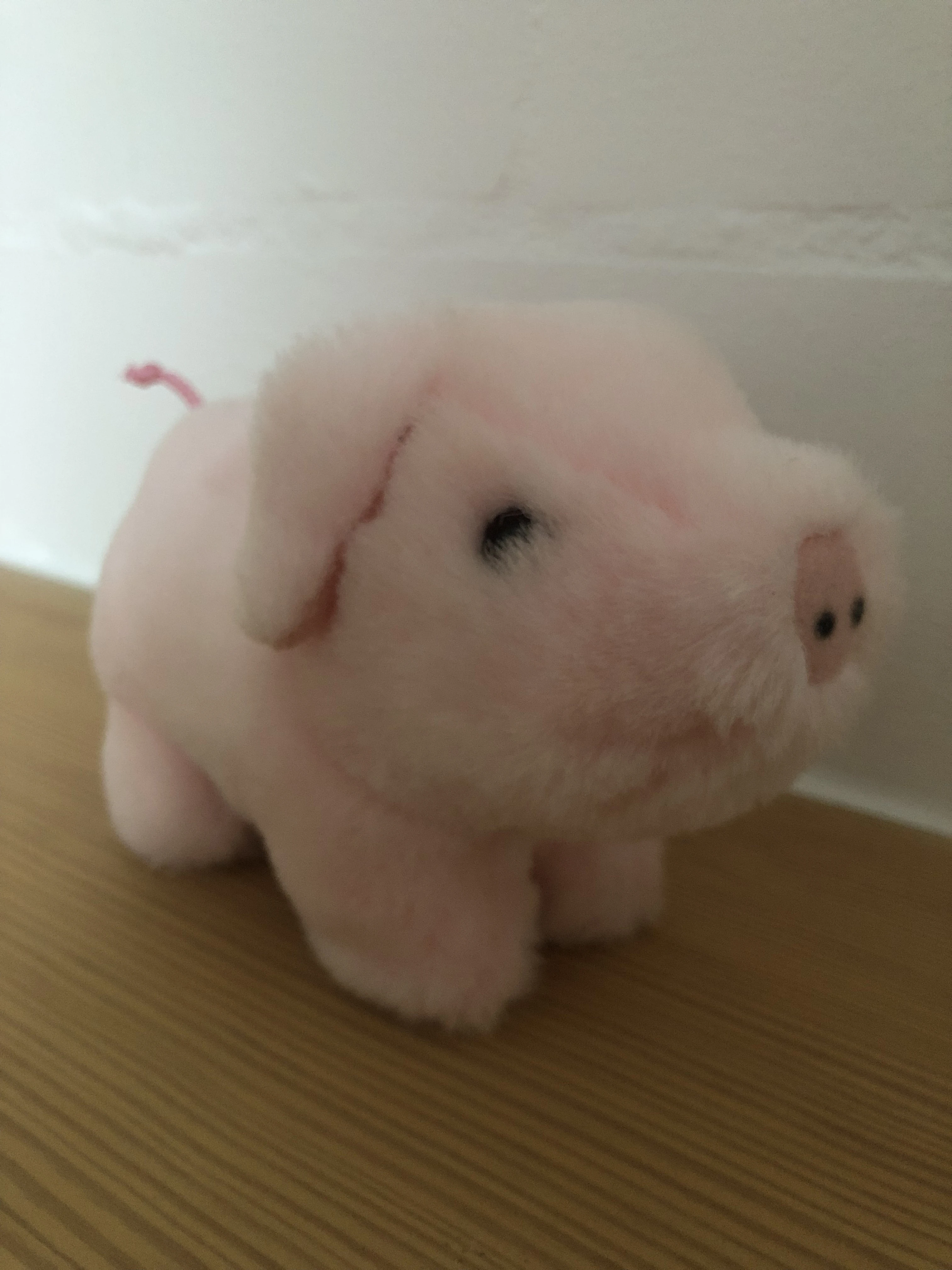 Sissi das Glücksschwein zum Kuscheln 