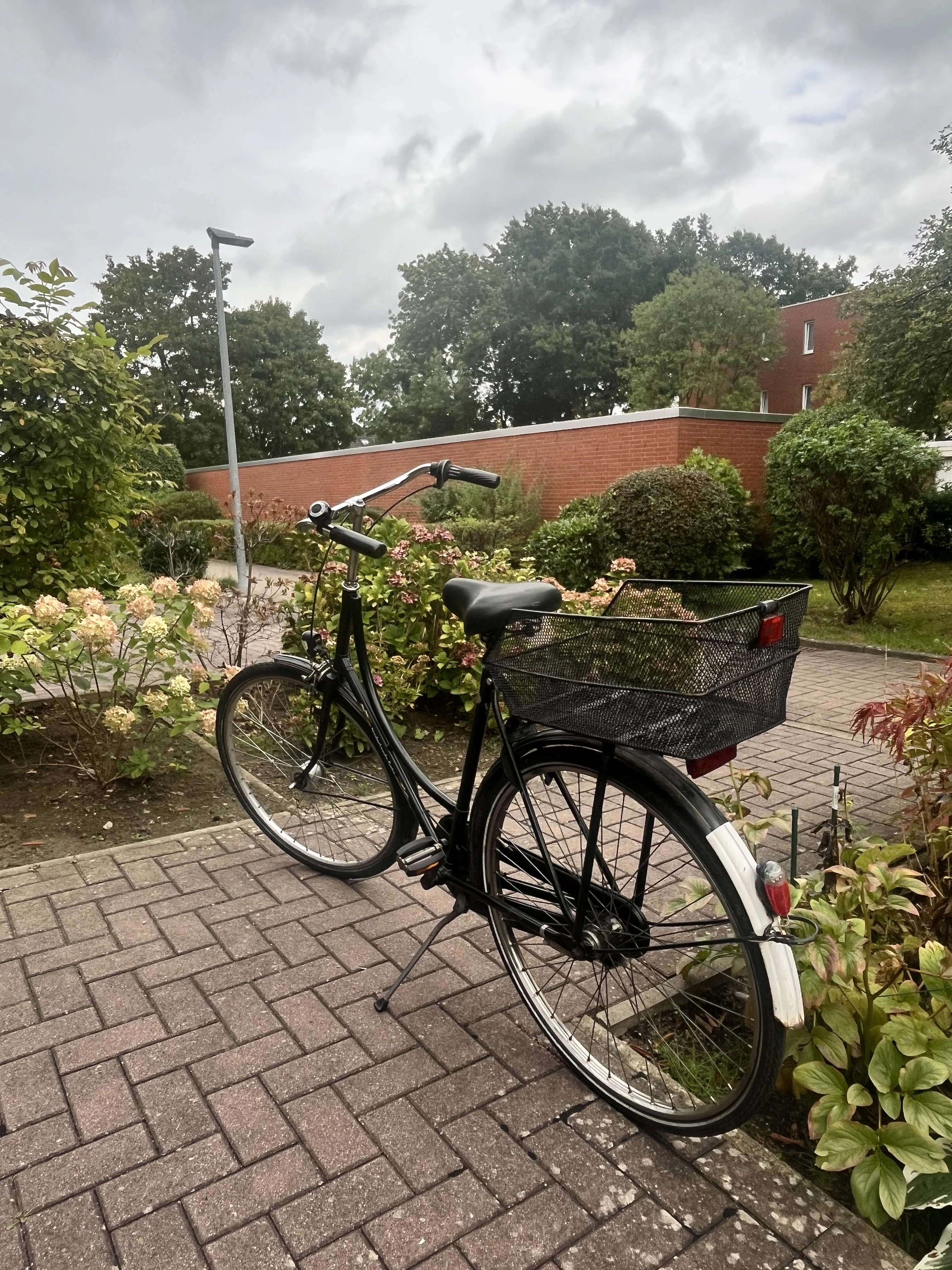 Gesamtbild des Fahrrads von hinten 
