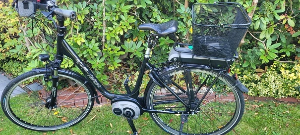 Ebike 50er Rahmen