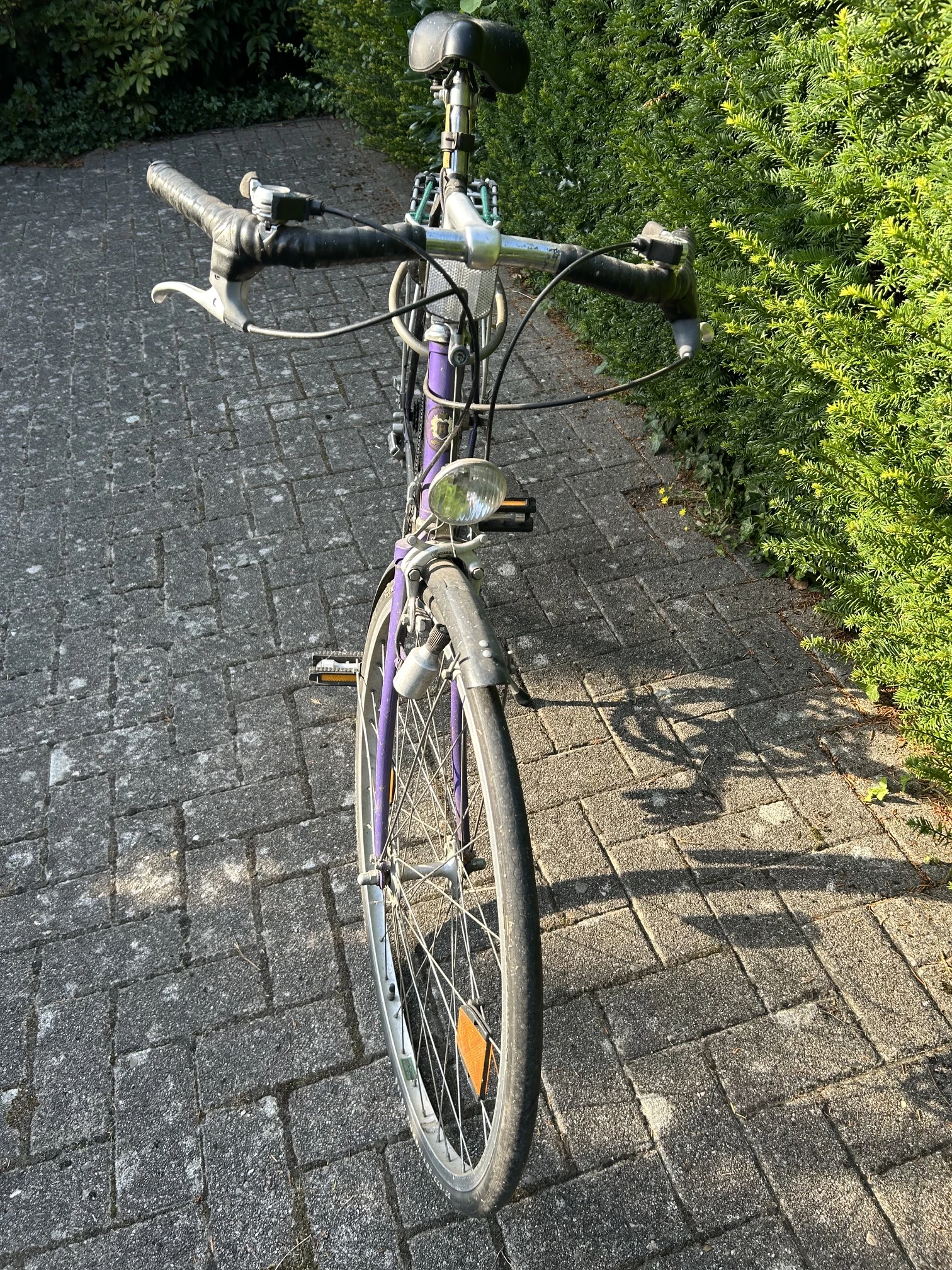 Vorderansicht