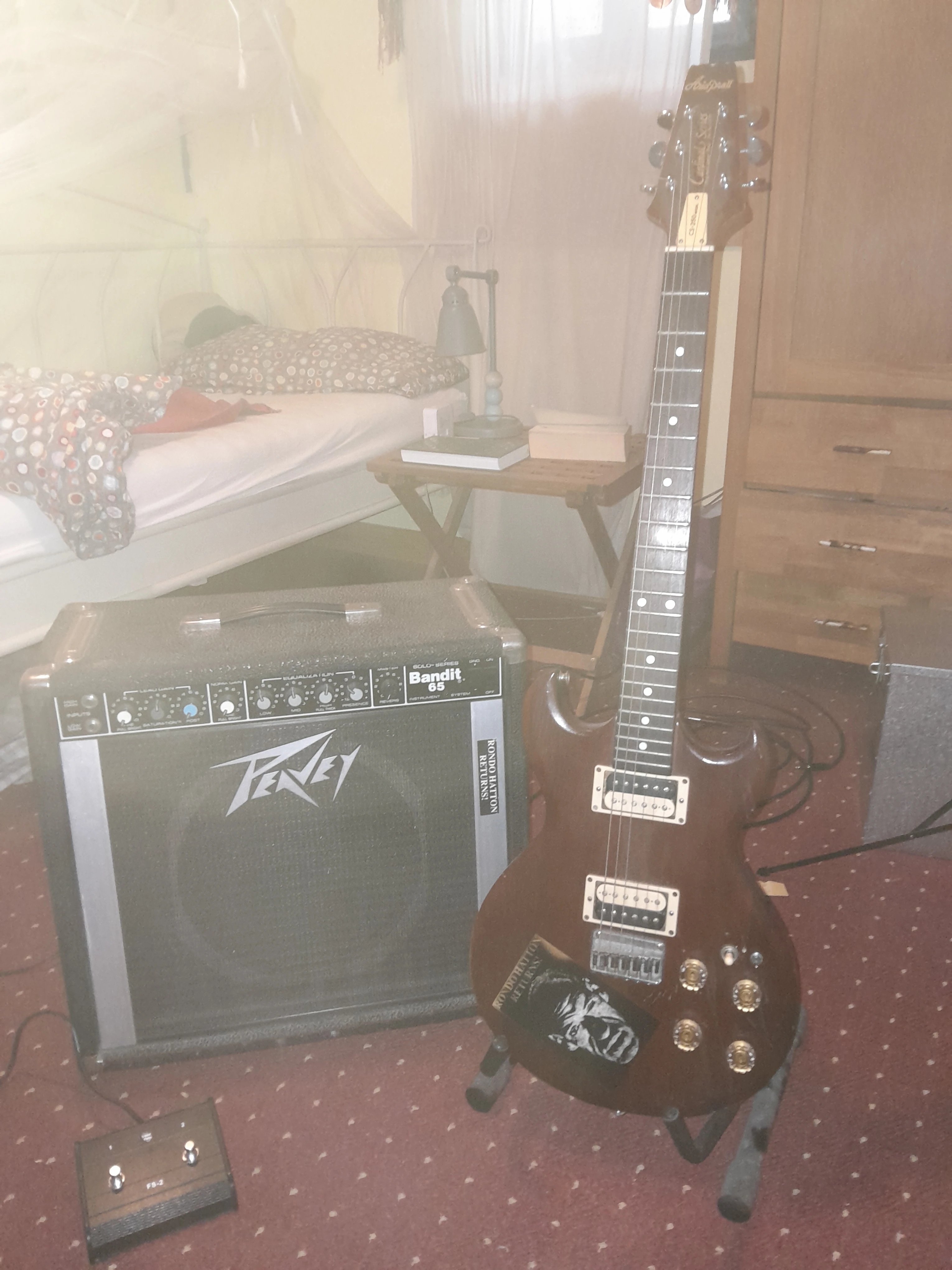 Der Peavey-Verstärker mit Aria Gitarre