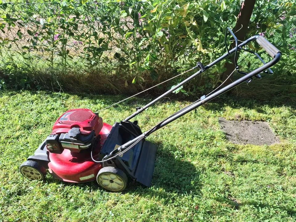 Toro2