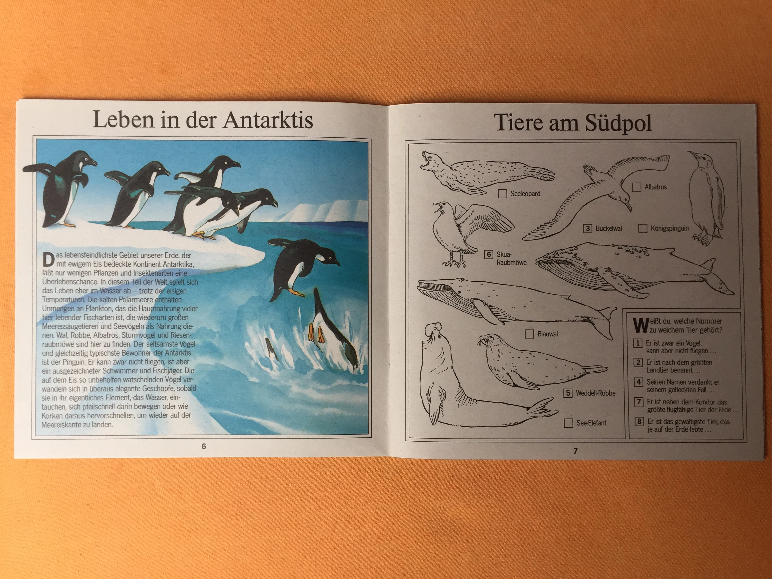 Kinderbücher / Jugendbücher