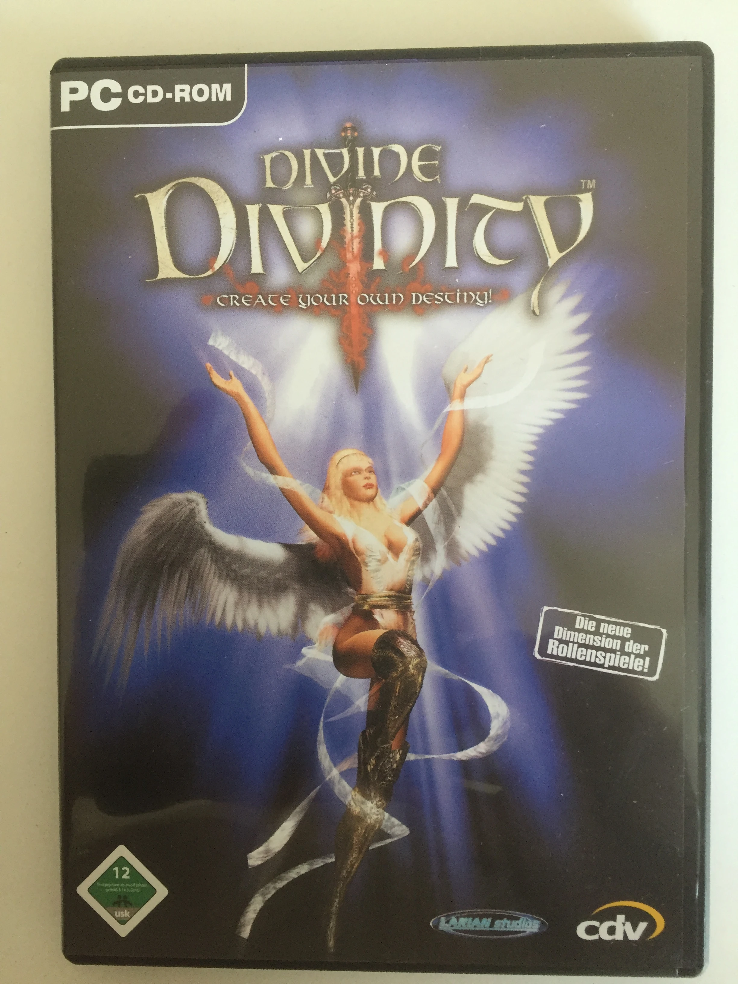 Divine Divinity PC-Spiel -Bestseller- 
