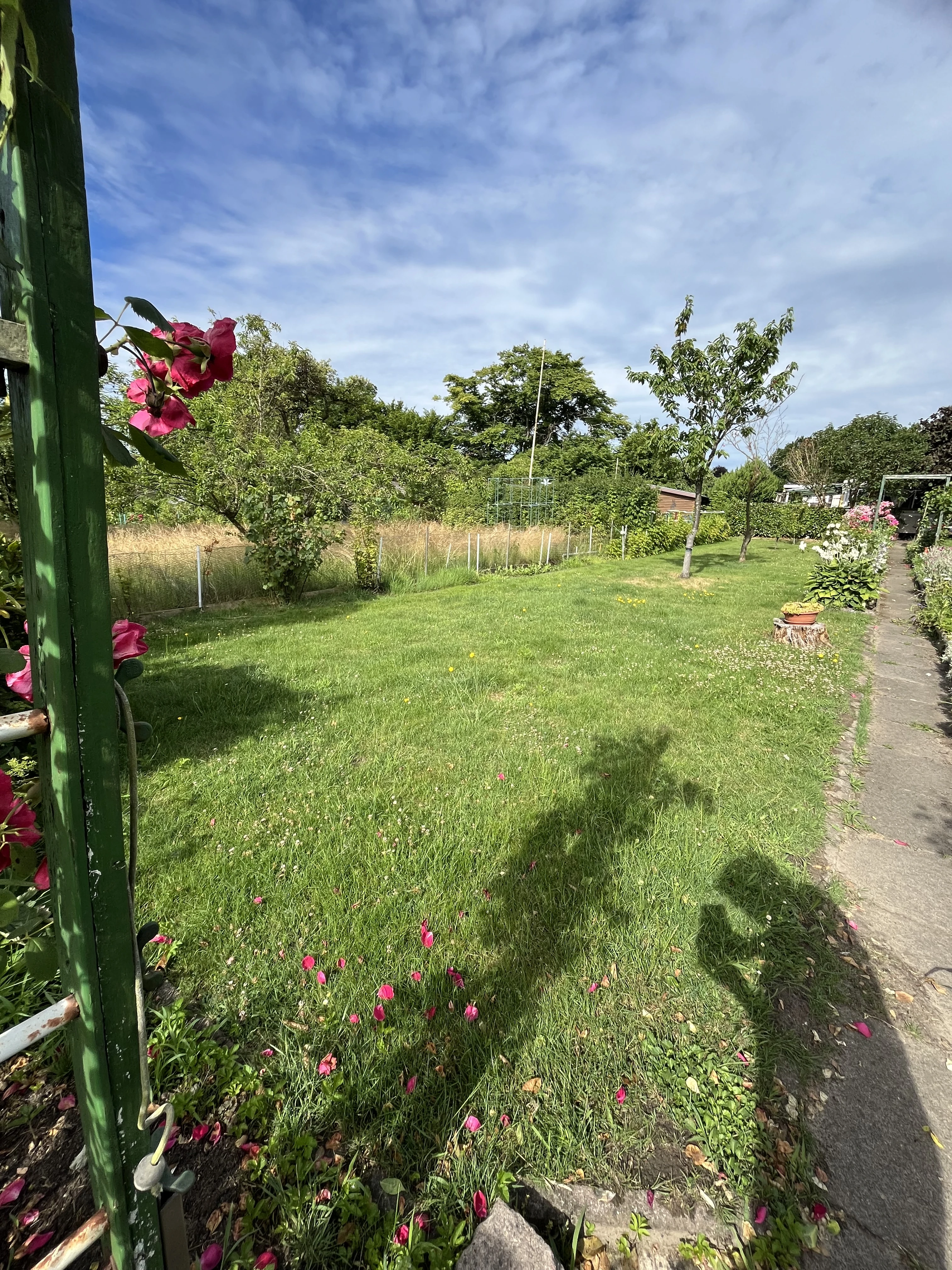 Garten