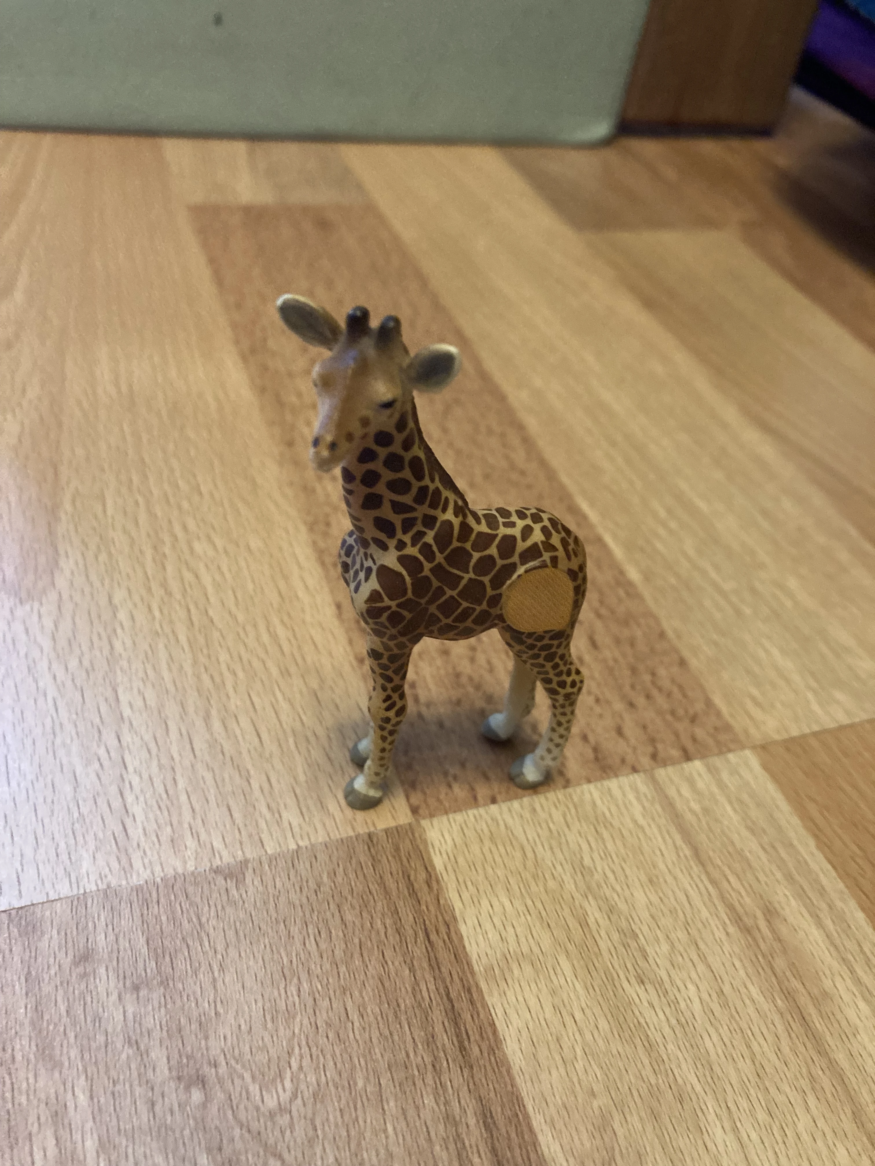 Giraffe 