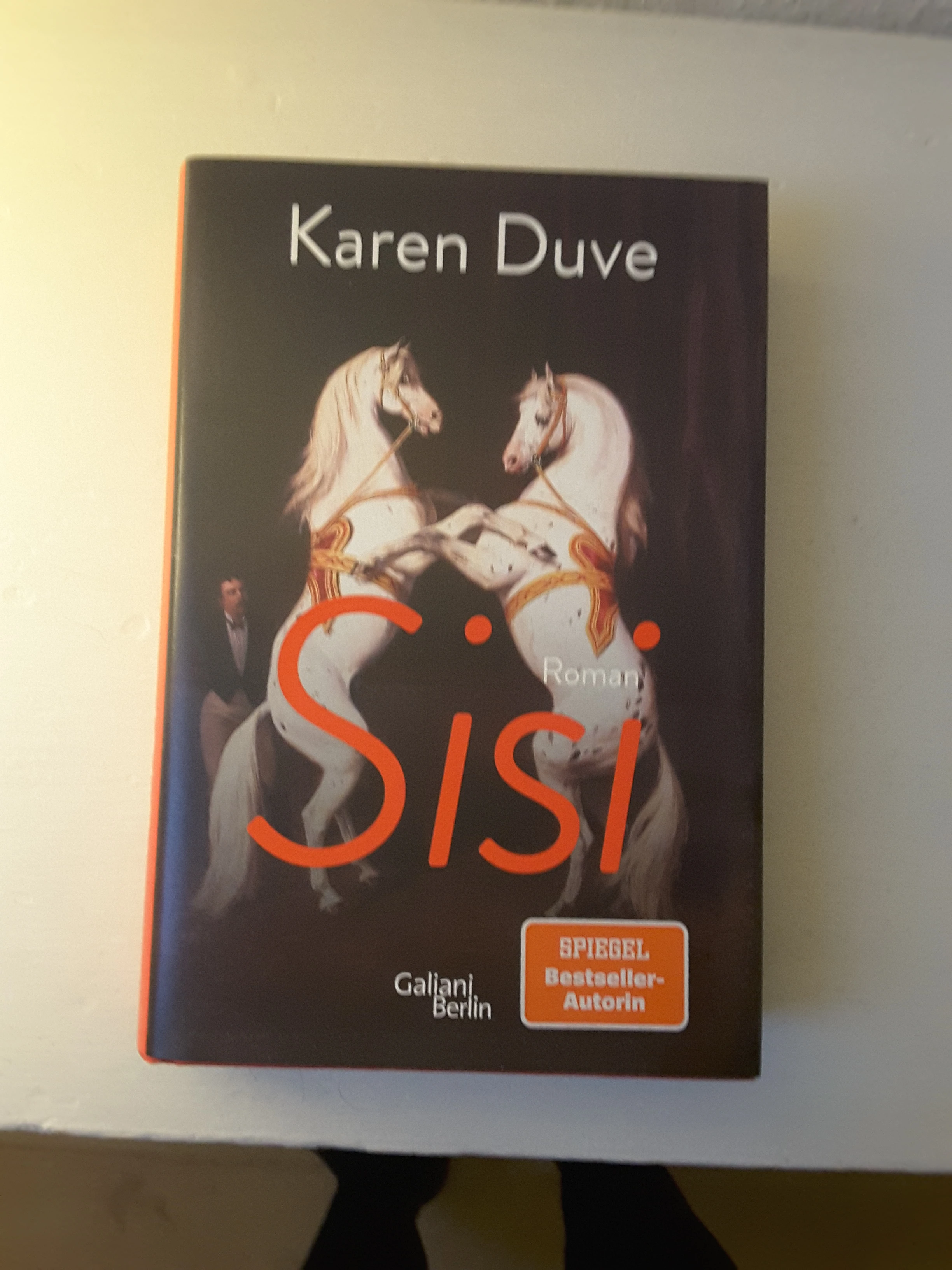 Sisi von Karen Duve