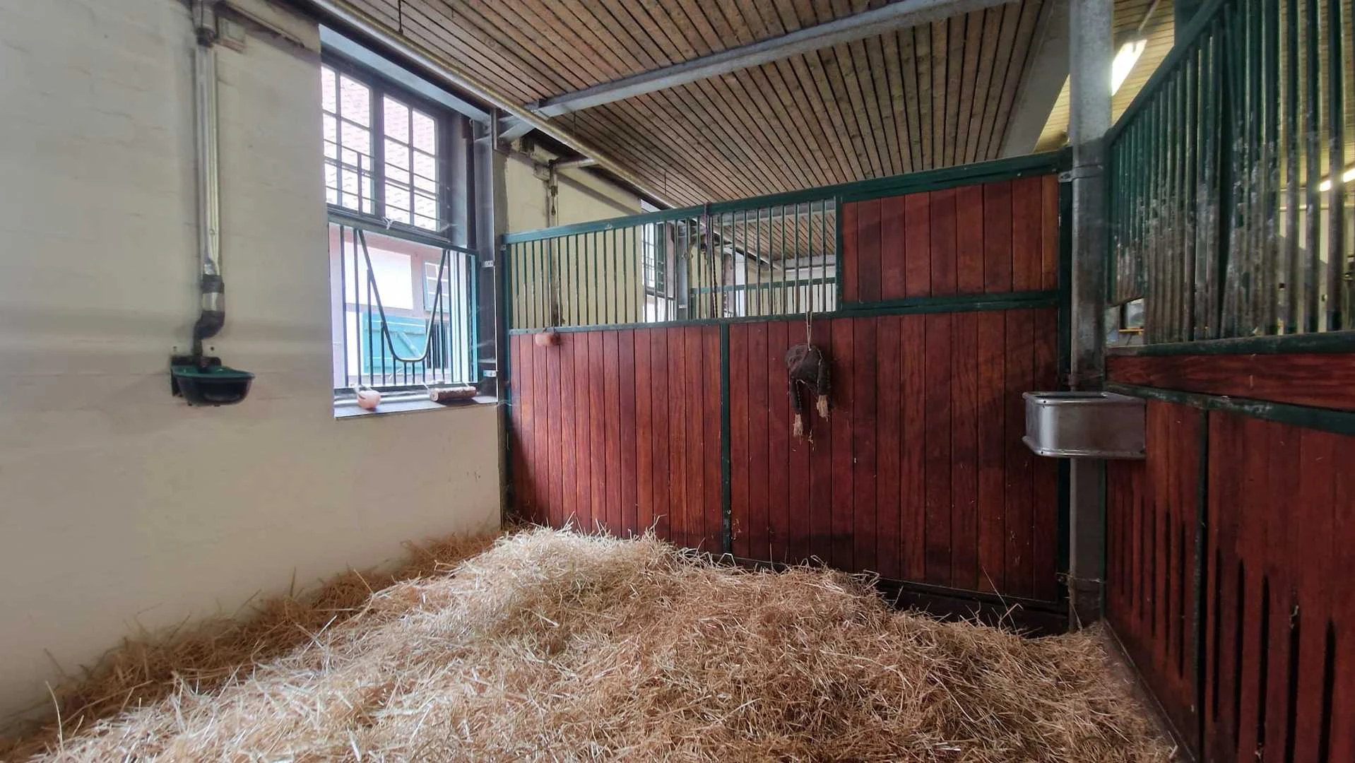Boxen im Stall