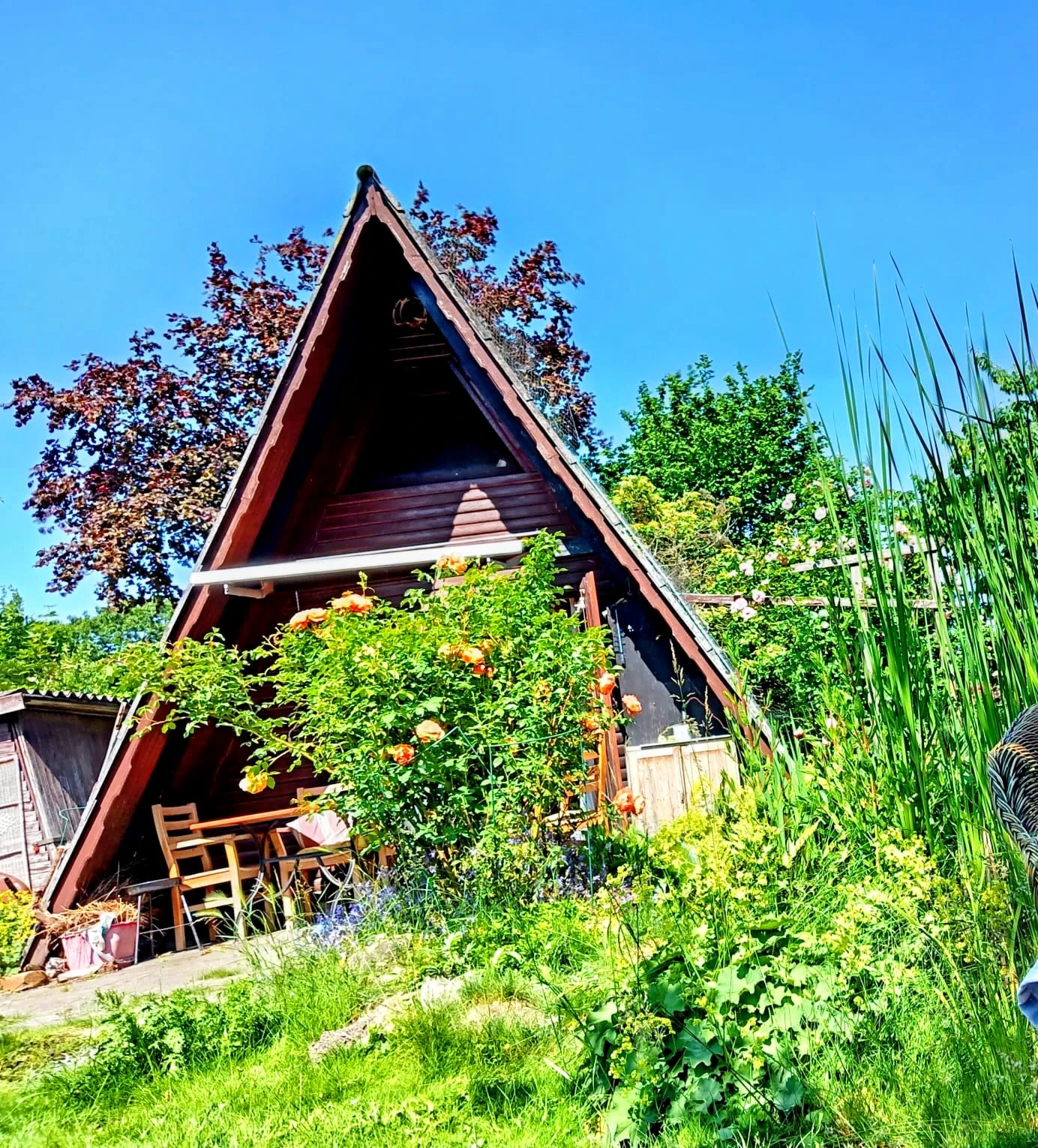 Hütte