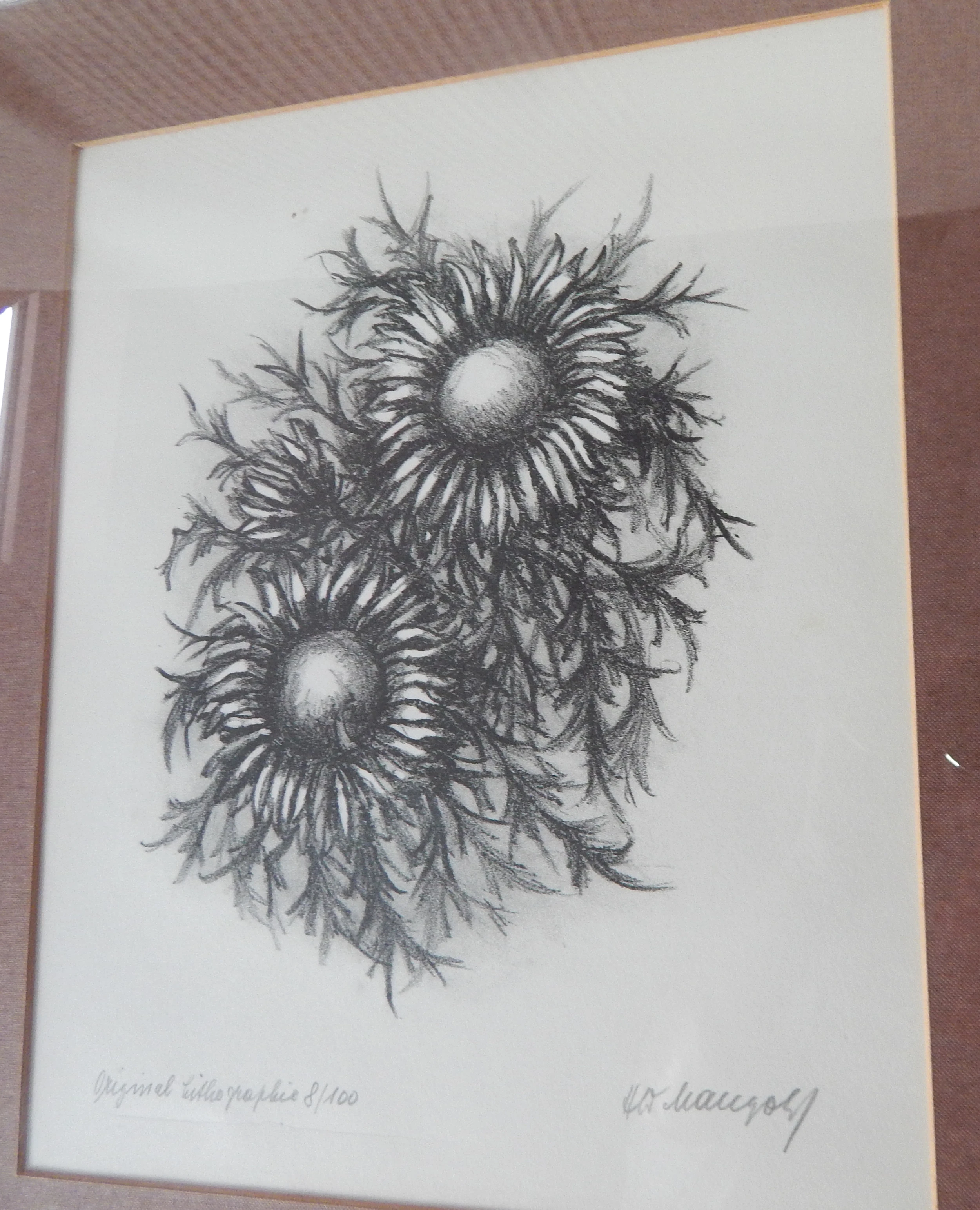 zwei Silberdistel-Blüten
